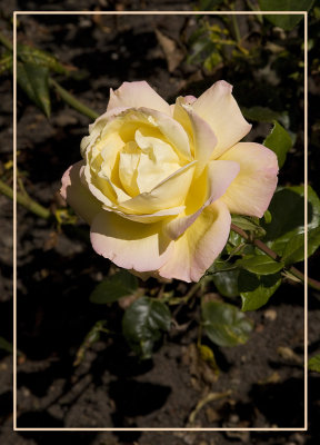 IMG_2749 X.jpg