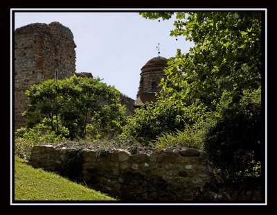 IMG_2750 X.jpg