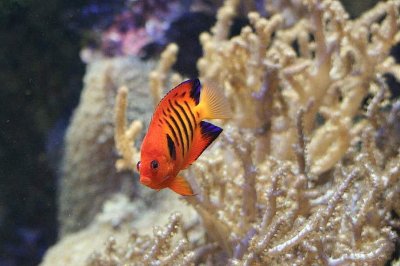IMG_7061.JPG