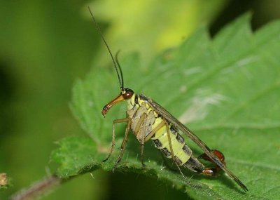 d10 159.jpg