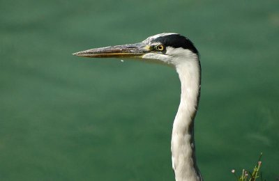 DSC_2702.JPG