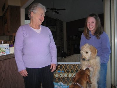 Teddy and Friends