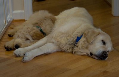 Best friends