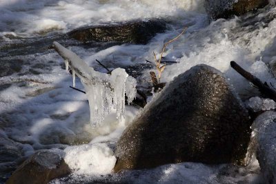 Iced water...