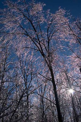 Sun & ice