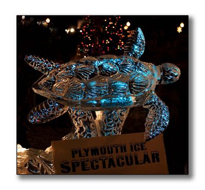 Plymouth Ice Spectacular