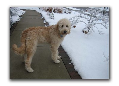 That white stuff again?!