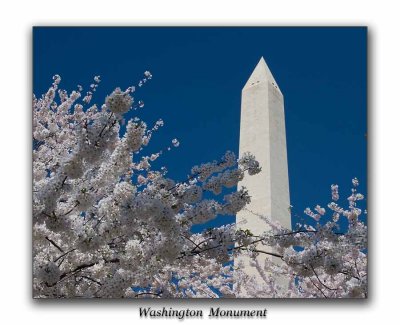 Washington Monument