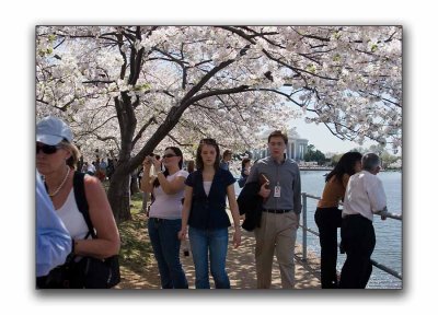 People & blossoms