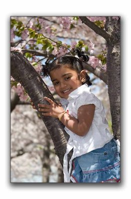 Girl in a tree