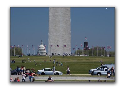Washington Monument & Capitol