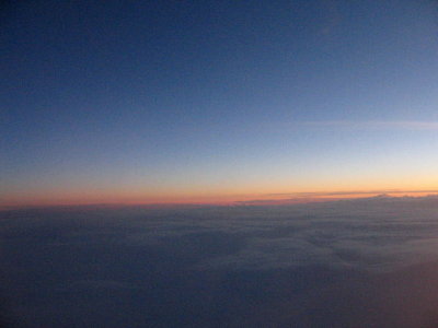 Tracy's Pics