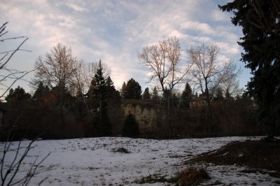 DSC_5006xs.jpg