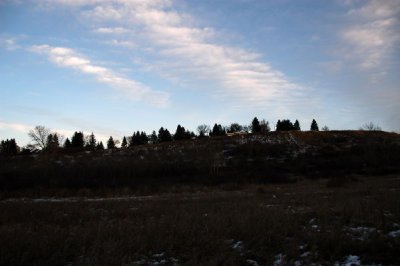DSC_5016xs.jpg