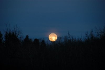 DSC_5048xs.jpg