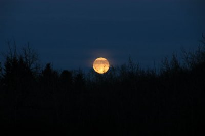 DSC_5052xs.jpg
