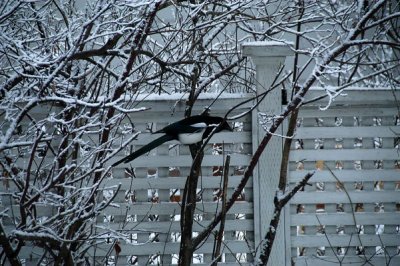 DSC_5059xs.jpg