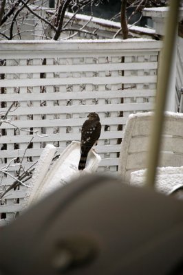 DSC_5077xs.jpg