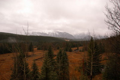 DSC_5090xs.jpg