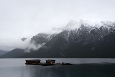 DSC_5101xs.jpg