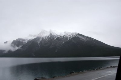 DSC_5103xs.jpg