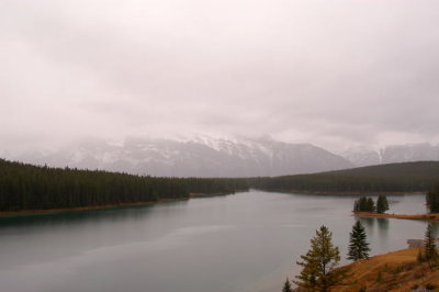 DSC_5118xs.jpg