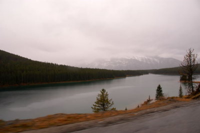 DSC_5120xs.jpg