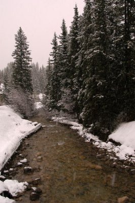 DSC_5188xs.jpg