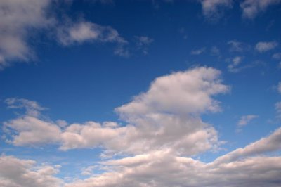 DSC_5203xs.jpg