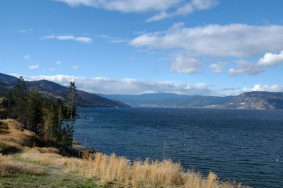 DSC_5293xs.jpg