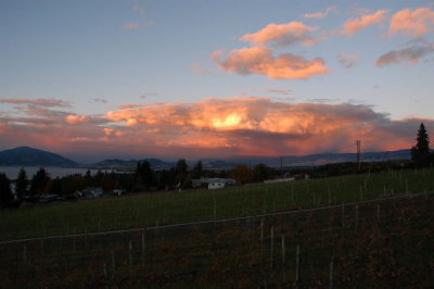 DSC_5425xs.jpg