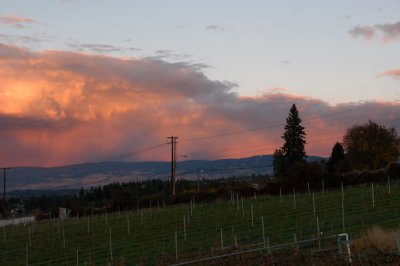 DSC_5426xs.jpg