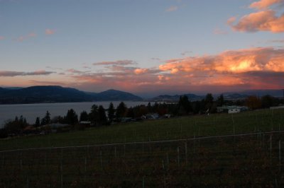 DSC_5427xs.jpg