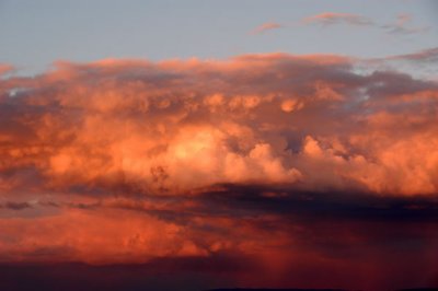 DSC_5429xs.jpg