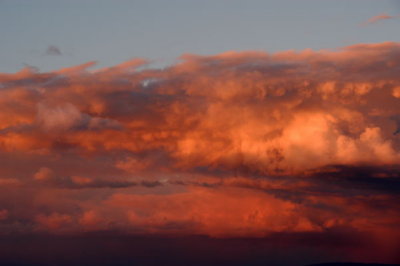 DSC_5430xs.jpg