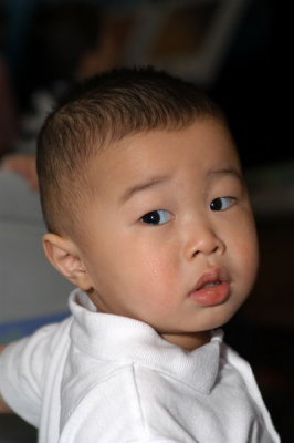 DSC_7137xs.jpg