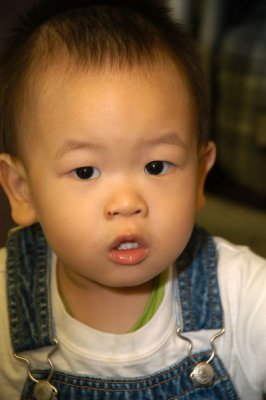 DSC_7196xs.jpg