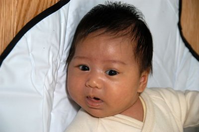 DSC_8204xs.jpg