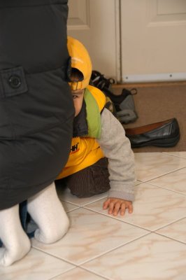 DSC_8294xs.jpg