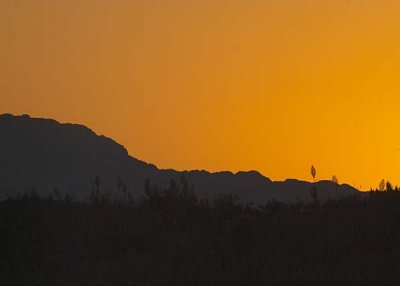 Yellow Sunrise