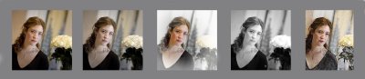 Photographic style options