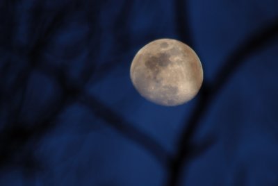 Moon11d06h_78289.jpg