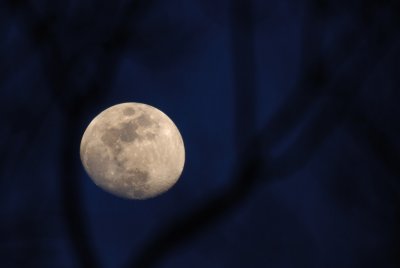 Moon11d06h_78292.jpg