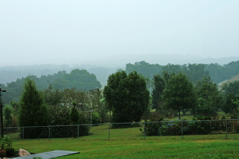 Much Needed Rain