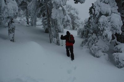 DSC_5989.jpg