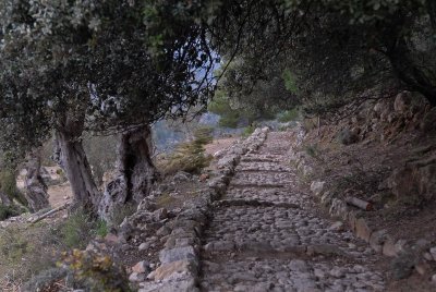 A trail in Mallorca