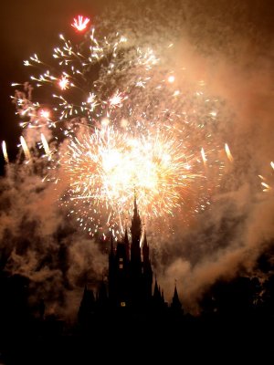 magic kingdom
