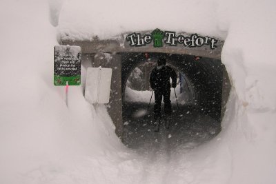 entrance to the Tree Fort off Bear Cub