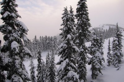 view from the Big Red Express
