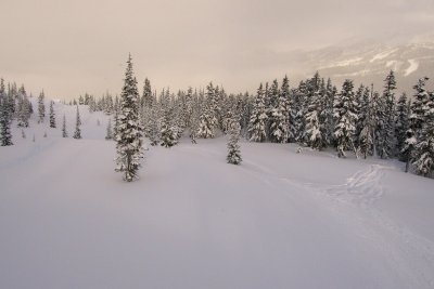 view from the Emerald Express